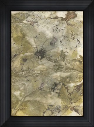 Framed Eco Print VI Print
