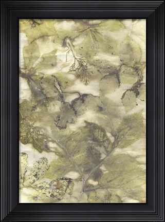 Framed Eco Print VII Print