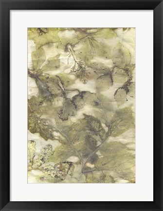 Framed Eco Print VII Print