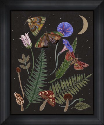 Framed Dark Forest IV Print