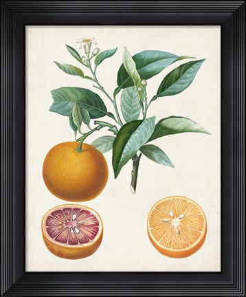 Framed Orange de Malte Print