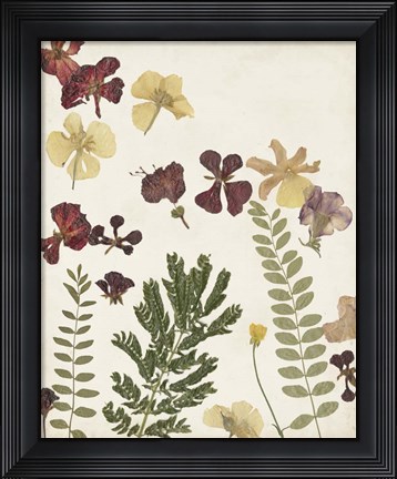Framed Pressed Flower Arrangement I Print