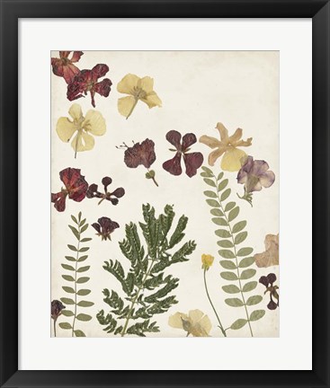 Framed Pressed Flower Arrangement I Print