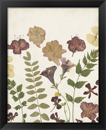 Framed Pressed Flower Arrangement II Print