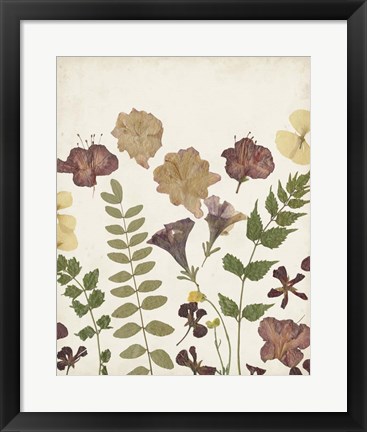 Framed Pressed Flower Arrangement II Print