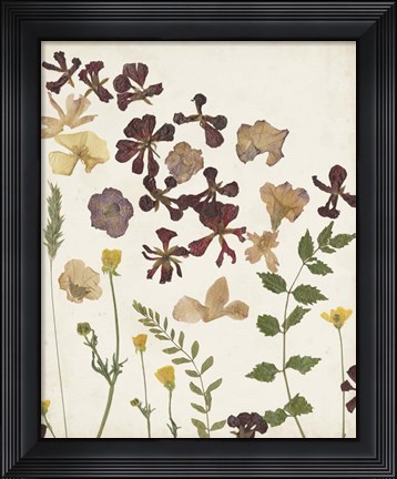 Framed Pressed Flower Arrangement III Print