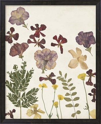 Framed Pressed Flower Arrangement IV Print