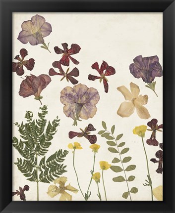 Framed Pressed Flower Arrangement IV Print