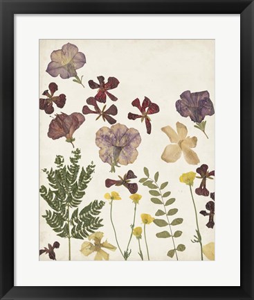 Framed Pressed Flower Arrangement IV Print