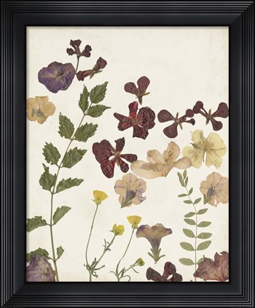 Framed Pressed Flower Arrangement V Print