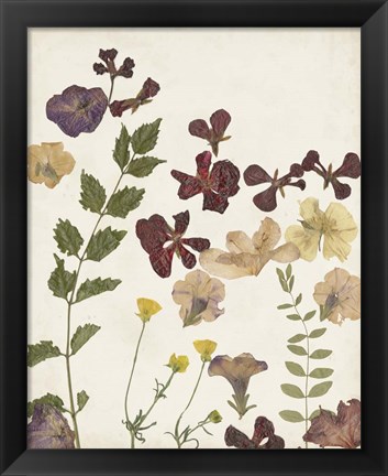 Framed Pressed Flower Arrangement V Print