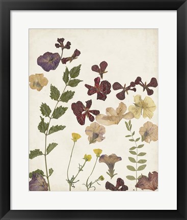 Framed Pressed Flower Arrangement V Print