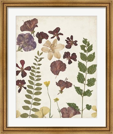Framed Pressed Flower Arrangement VI Print