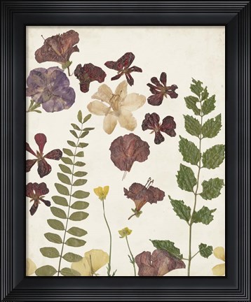 Framed Pressed Flower Arrangement VI Print