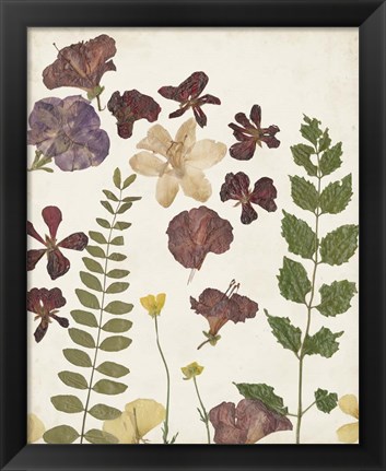 Framed Pressed Flower Arrangement VI Print