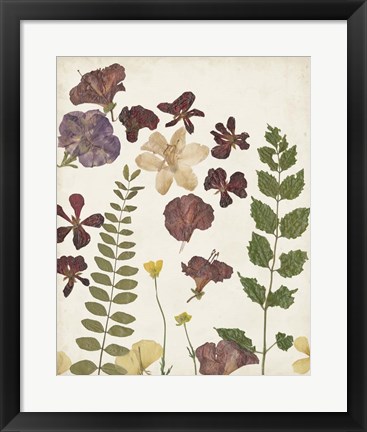 Framed Pressed Flower Arrangement VI Print