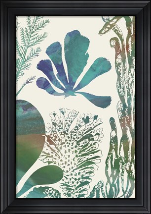Framed Aquatic Assemblage I Print