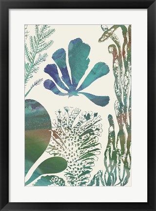 Framed Aquatic Assemblage I Print