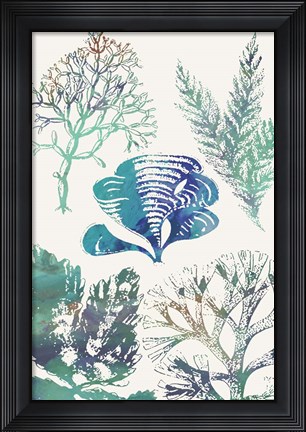 Framed Aquatic Assemblage III Print