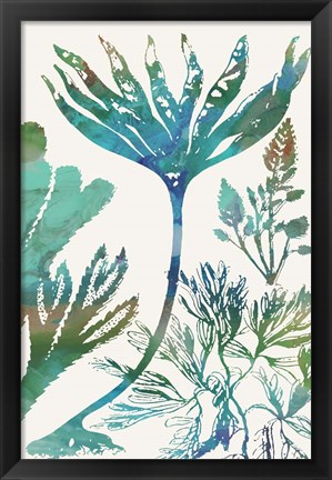 Framed Aquatic Assemblage IV Print