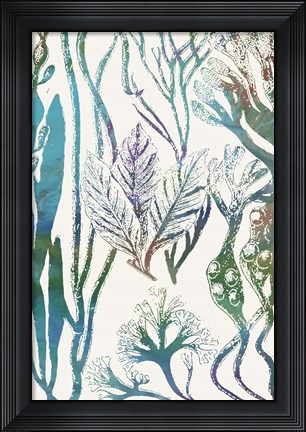 Framed Aquatic Assemblage V Print