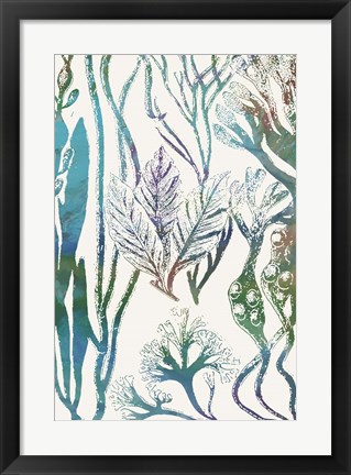 Framed Aquatic Assemblage V Print