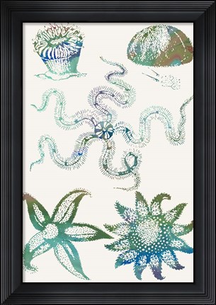 Framed Aquatic Assemblage VII Print