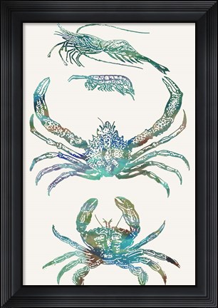 Framed Aquatic Assemblage VIII Print