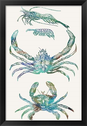 Framed Aquatic Assemblage VIII Print