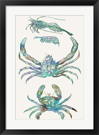 Framed Aquatic Assemblage VIII Print