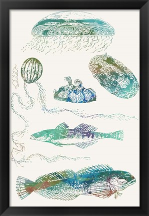 Framed Aquatic Assemblage IX Print