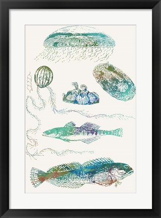 Framed Aquatic Assemblage IX Print