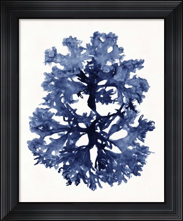 Framed Indigo Ocean I Print
