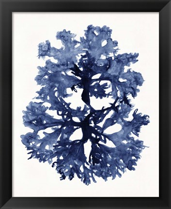 Framed Indigo Ocean I Print