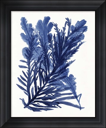 Framed Indigo Ocean III Print
