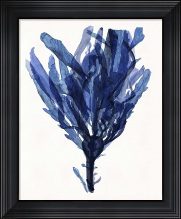 Framed Indigo Ocean IV Print