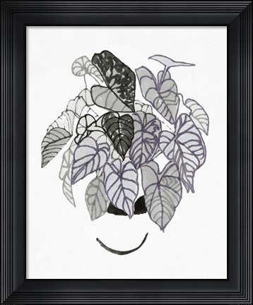 Framed B&amp;W Indoor Plant I Print