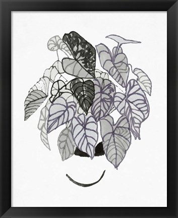 Framed B&amp;W Indoor Plant I Print