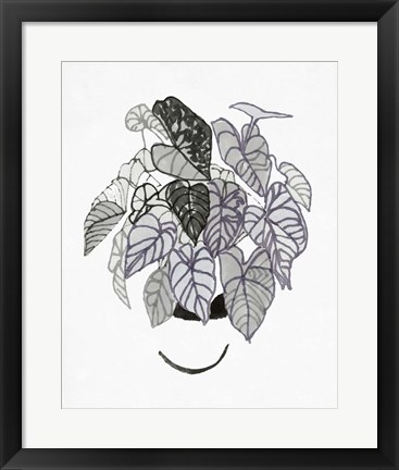 Framed B&amp;W Indoor Plant I Print