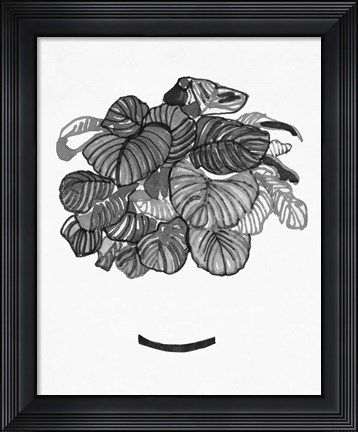 Framed B&amp;W Indoor Plant II Print