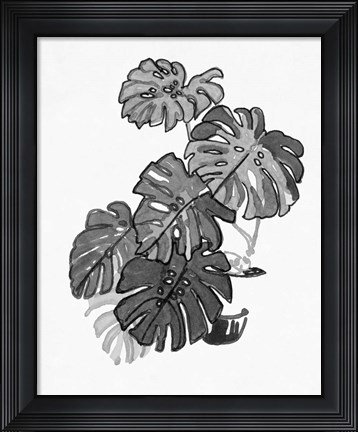 Framed B&amp;W Indoor Plant III Print