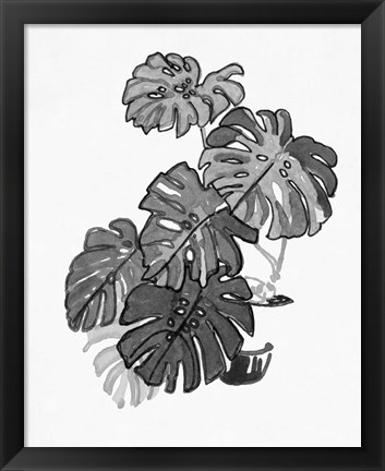 Framed B&amp;W Indoor Plant III Print