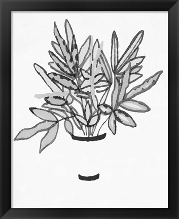 Framed B&amp;W Indoor Plant IV Print