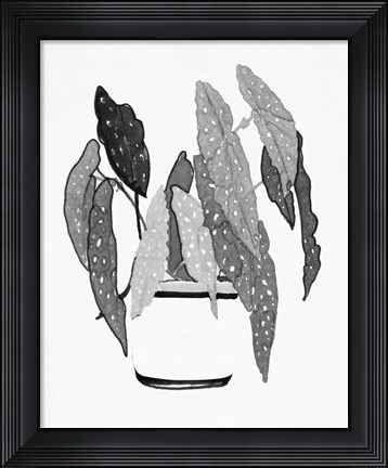 Framed B&amp;W Indoor Plant V Print