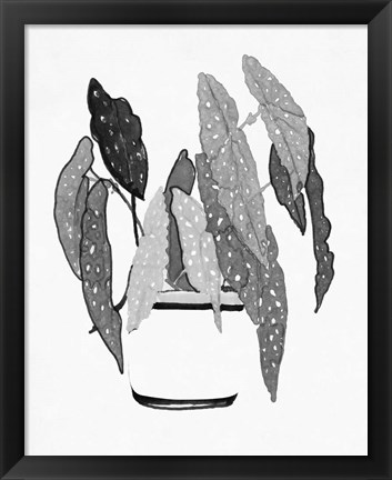 Framed B&amp;W Indoor Plant V Print