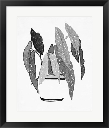 Framed B&amp;W Indoor Plant V Print