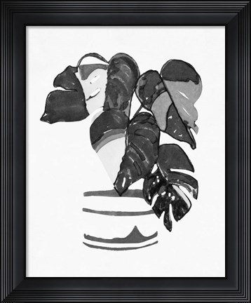 Framed B&amp;W Indoor Plant VI Print