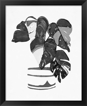 Framed B&amp;W Indoor Plant VI Print