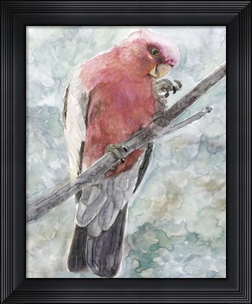 Framed Tropic Parrot I Print