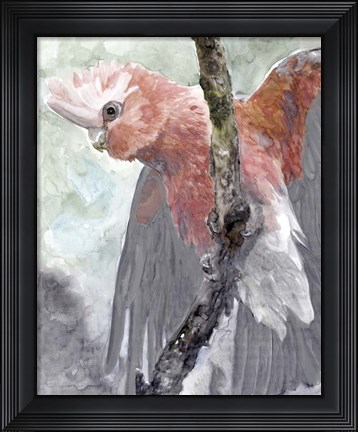 Framed Tropic Parrot II Print
